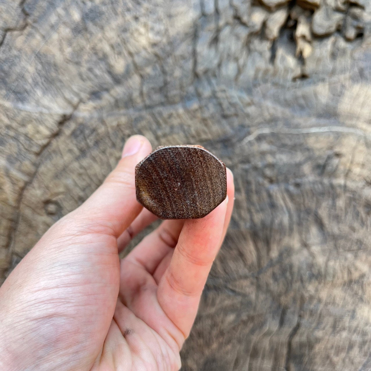 I -2 Ringed gidgee Wa handle with Marble Ivory horn- 145mm