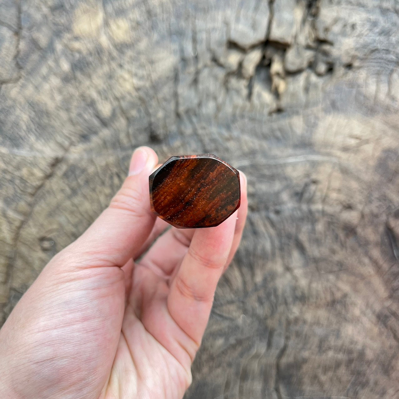 I -5 Quilted Siam Rosewood with marble horn errule - 145mm