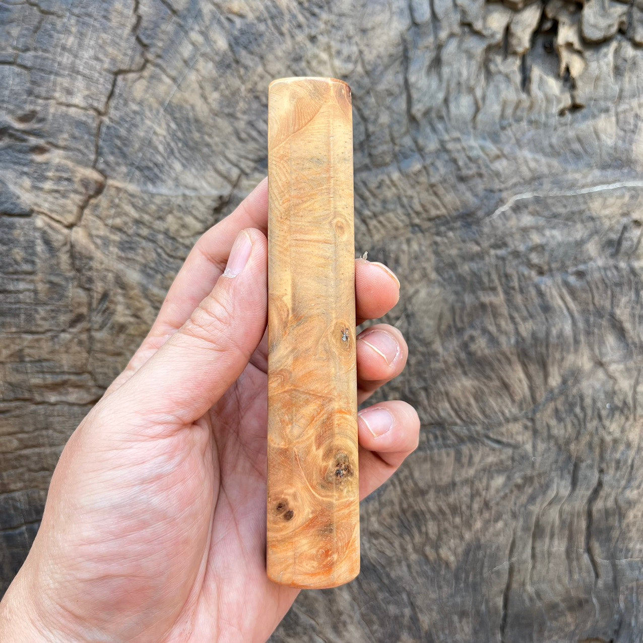 I- 2 Mono Dragon burl Wa handle - 135mm