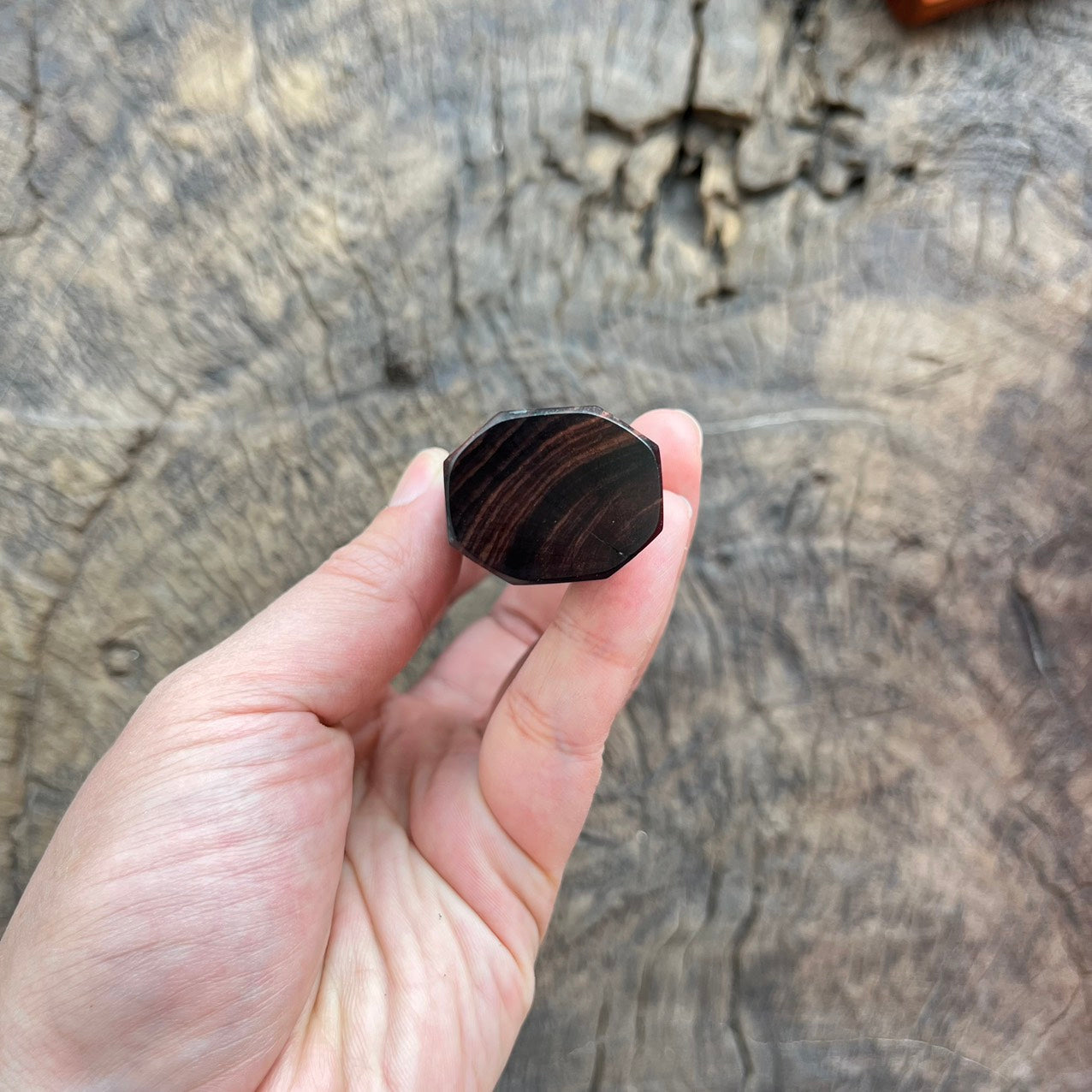 I - Cross Grain Rosewood with two tone horn ferrule - 145mm