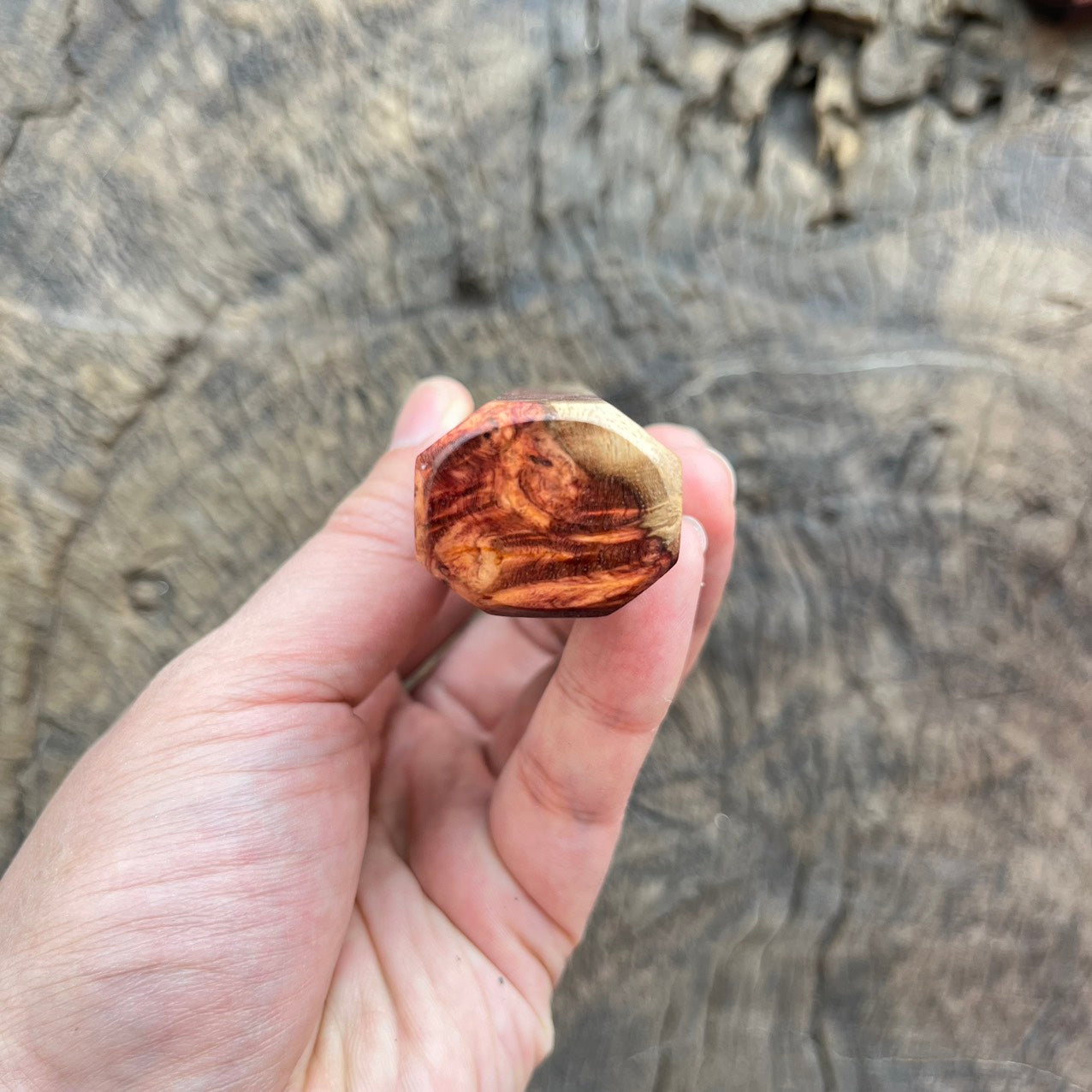 I - Special Two tone Amboyna Burl Wa handle with marble horn - 140mm