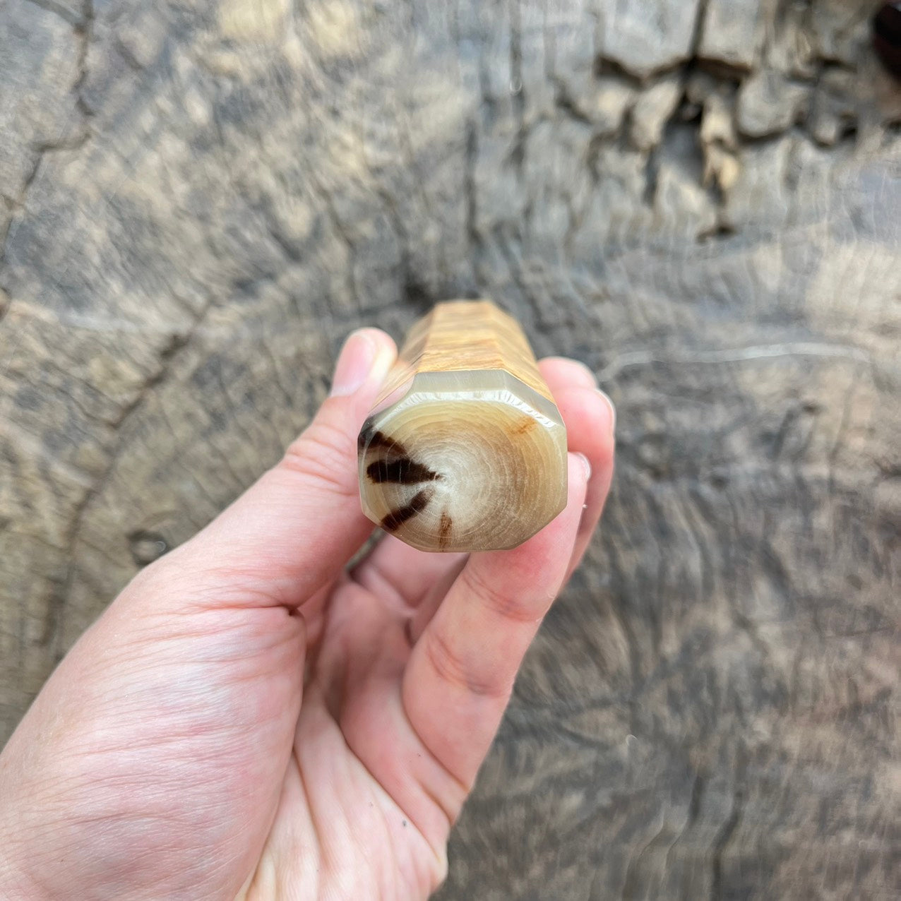 I - 2 Dragon Burl Wa handle with marble horn ferrule and endcap - 145mm