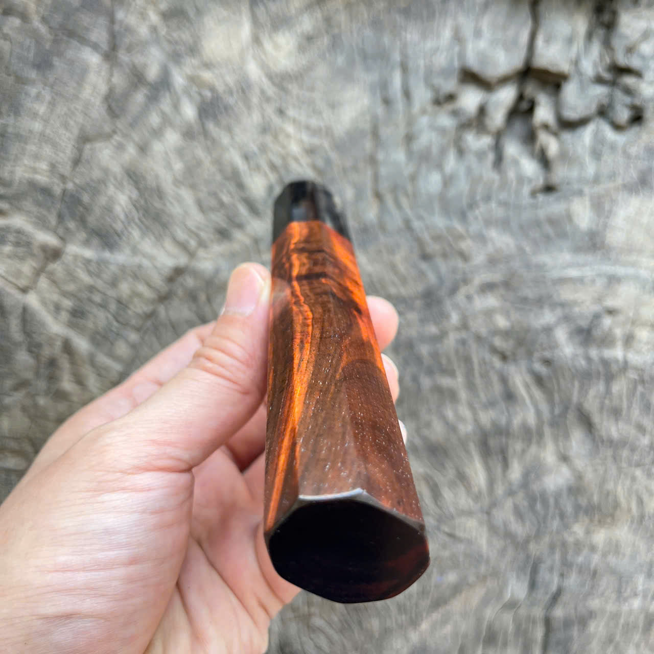 I -11 Black red curly Siam Rosewood Wa handle, Marble horn ferrule - 145 mm