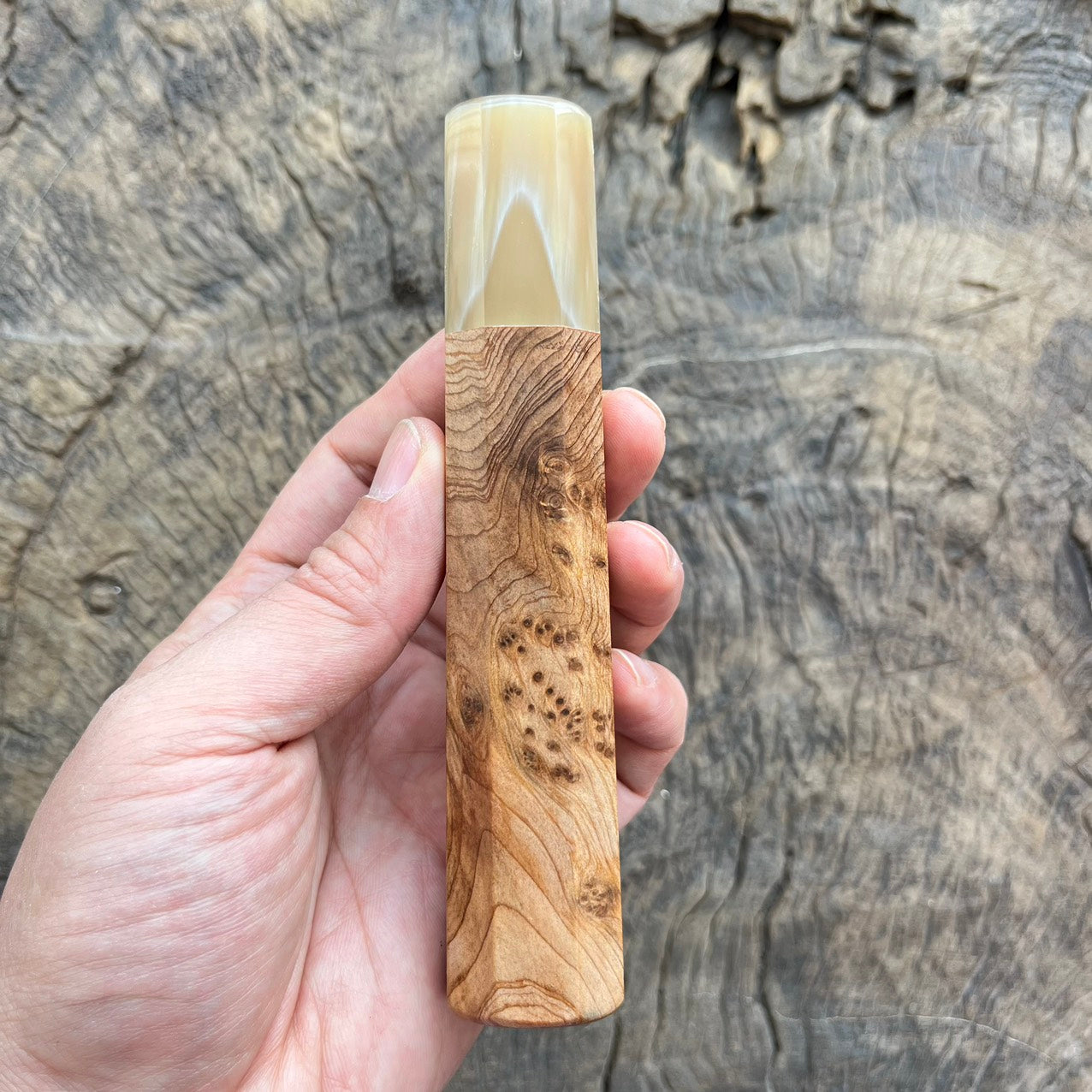 I - Viet Burl Cedar wood Wa handle with ivory horn - 140mm