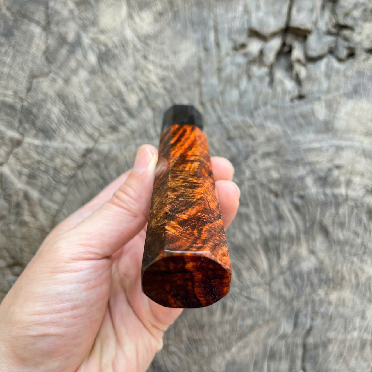 I -8 Super Curly Siam Rosewood Wa handle, Marble horn ferrule - 145 mm