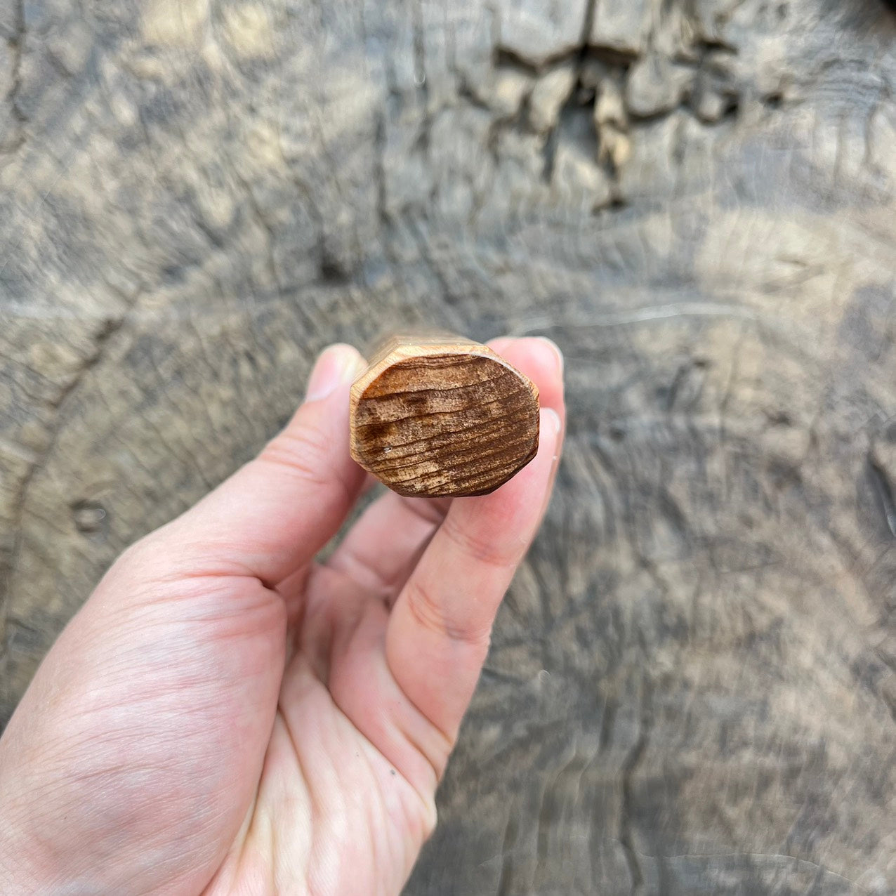 I - Viet Burl Cedar wood Wa handle with ivory horn - 140mm
