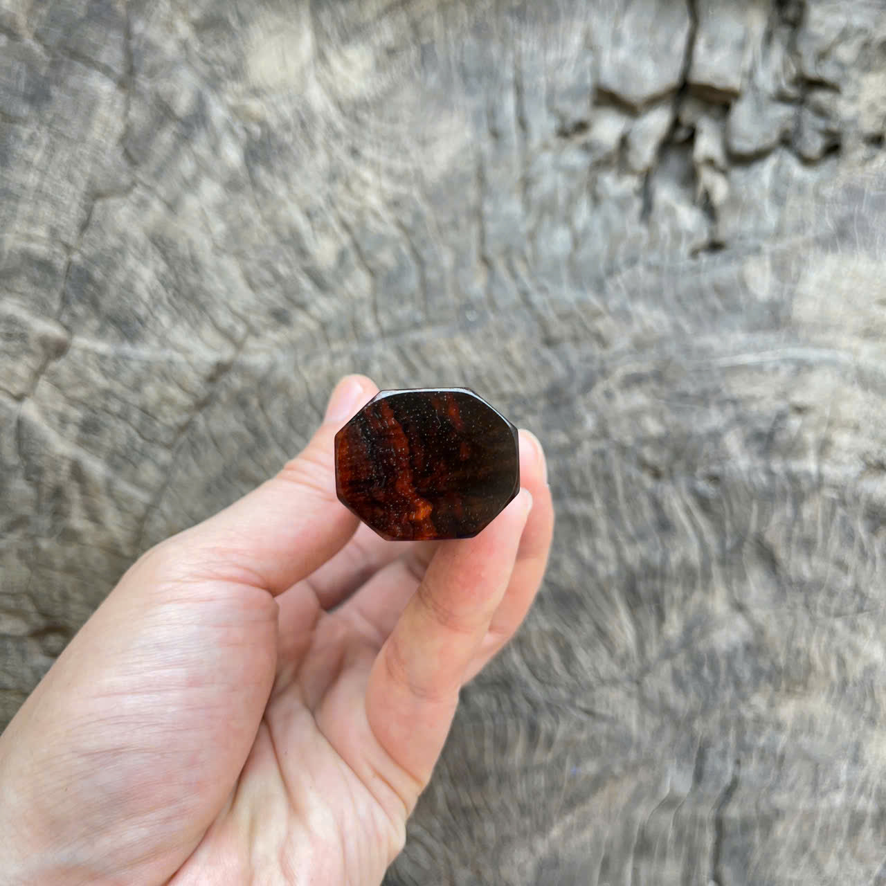 I -8 Super Curly Siam Rosewood Wa handle, Marble horn ferrule - 145 mm