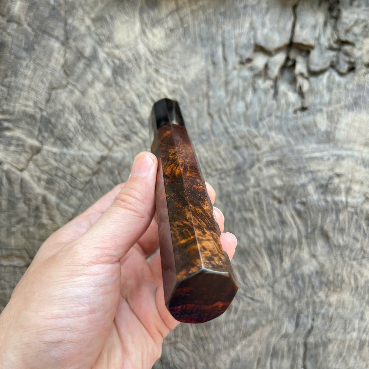 I -8 Super Curly Siam Rosewood Wa handle, Marble horn ferrule - 145 mm
