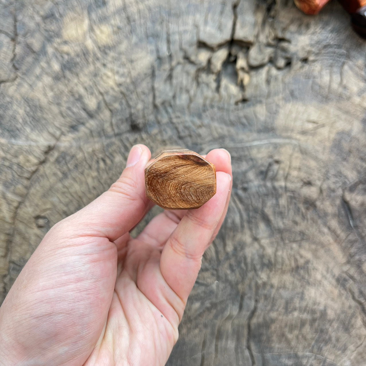 I - 2 Viet Cedar burl wood Wa handle with Black horn- 145mm