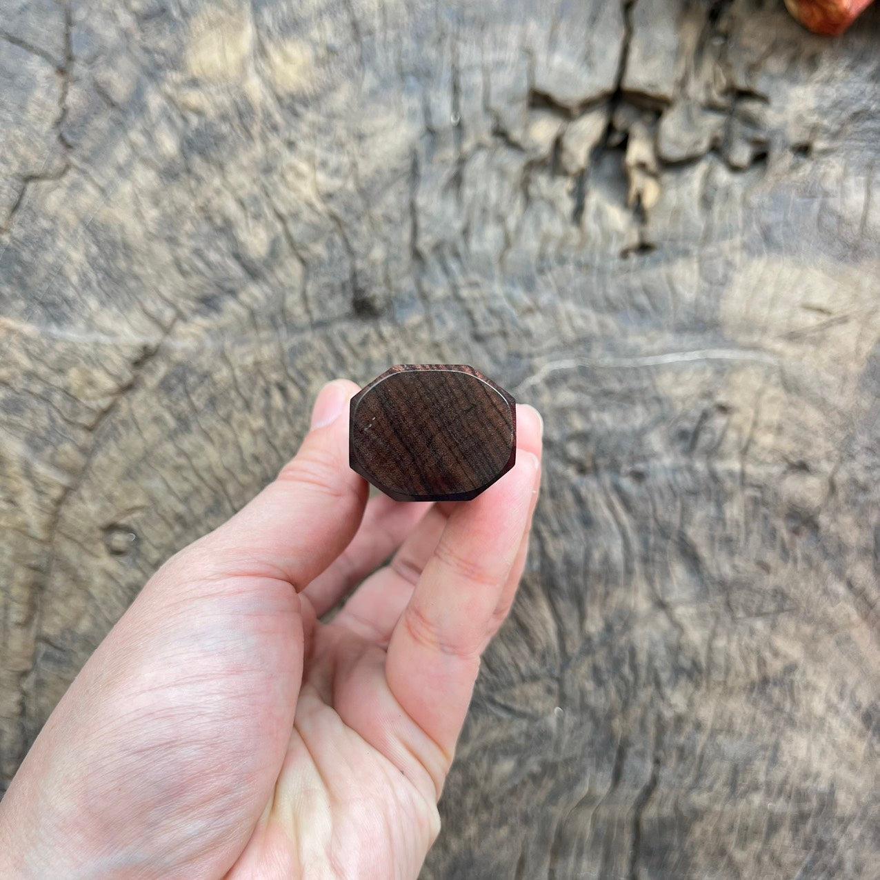 I -4 Ebony wood Wa handle with Black horn- 145mm