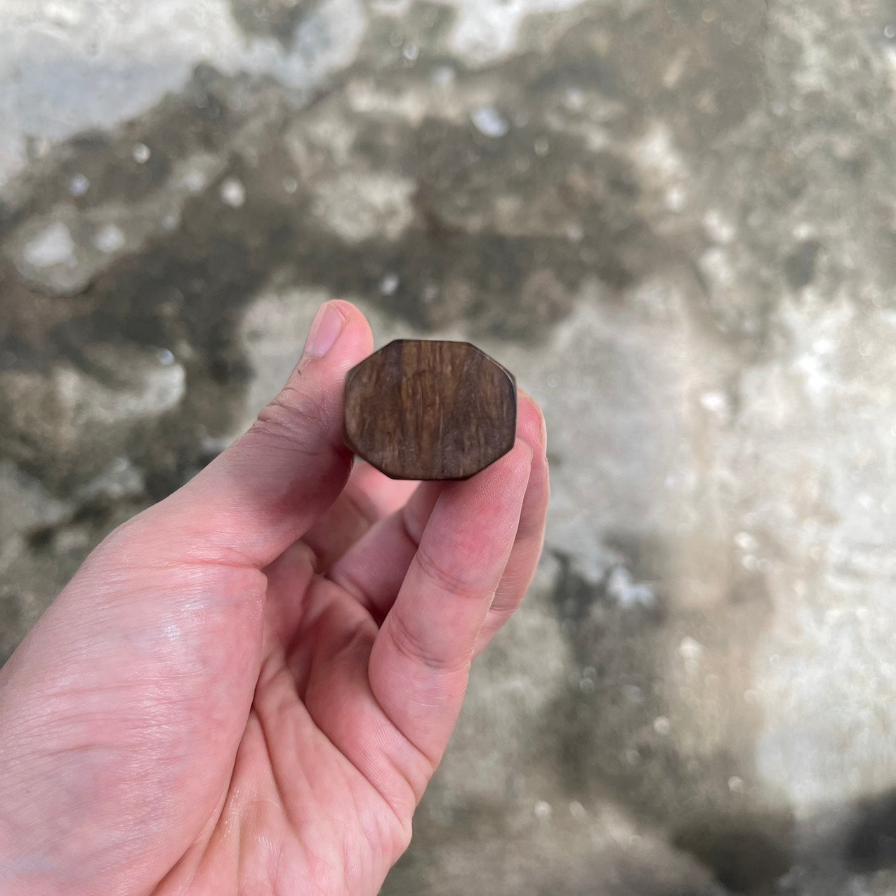 I- Macassar ebony with marble horn ferrule 135mm