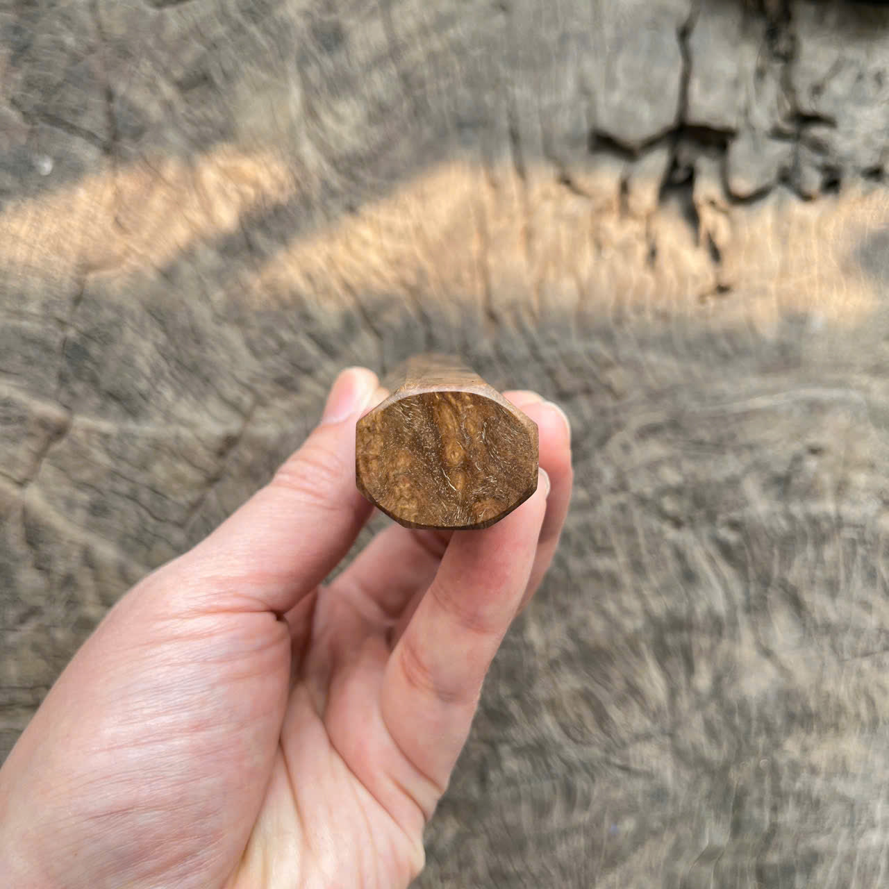 I -Two tone Ebony burl Wa handle, marble horn ferrule, black spacer- 140mm