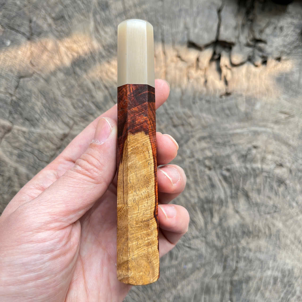 I- 3 Two tone Curly Siamese Rosewood Wa handle, white horn ferrule - 128mm