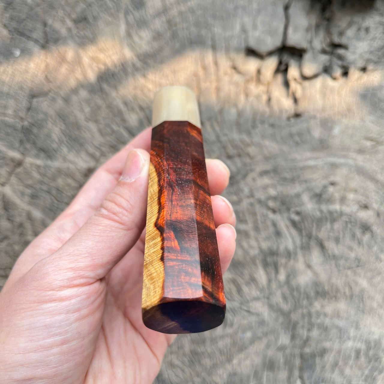 I- 3 Two tone Curly Siamese Rosewood Wa handle, white horn ferrule - 128mm