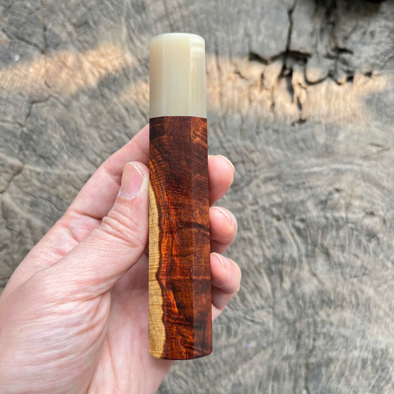 I- 3 Two tone Curly Siamese Rosewood Wa handle, white horn ferrule - 128mm