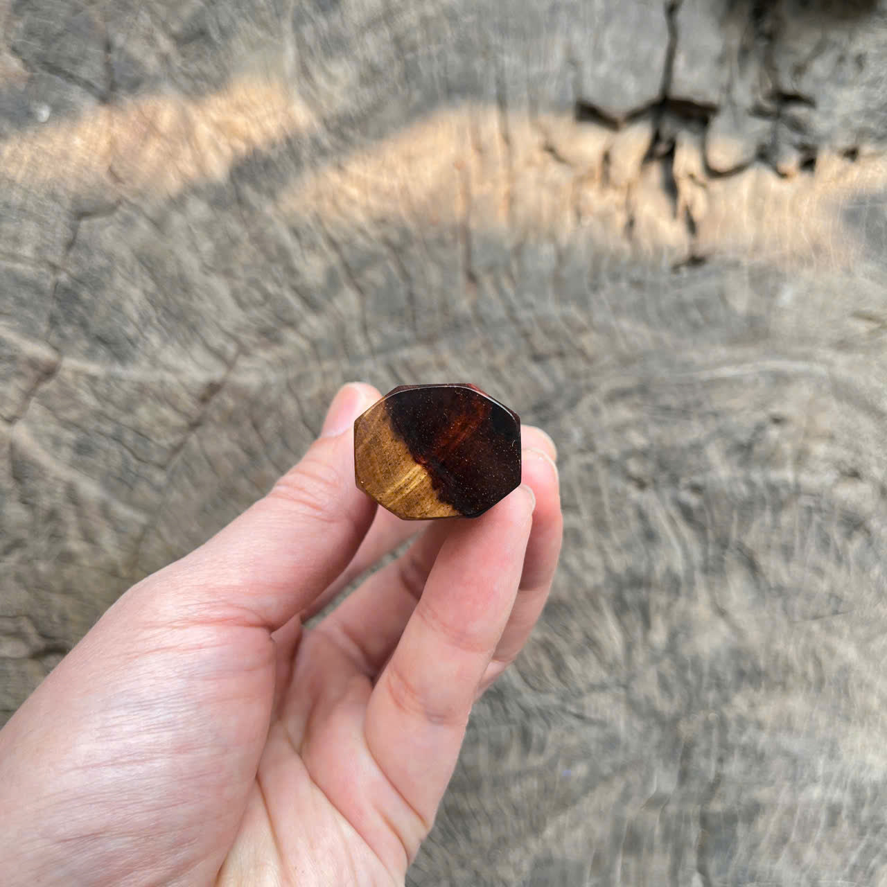 I- 3 Two tone Curly Siamese Rosewood Wa handle, white horn ferrule - 128mm