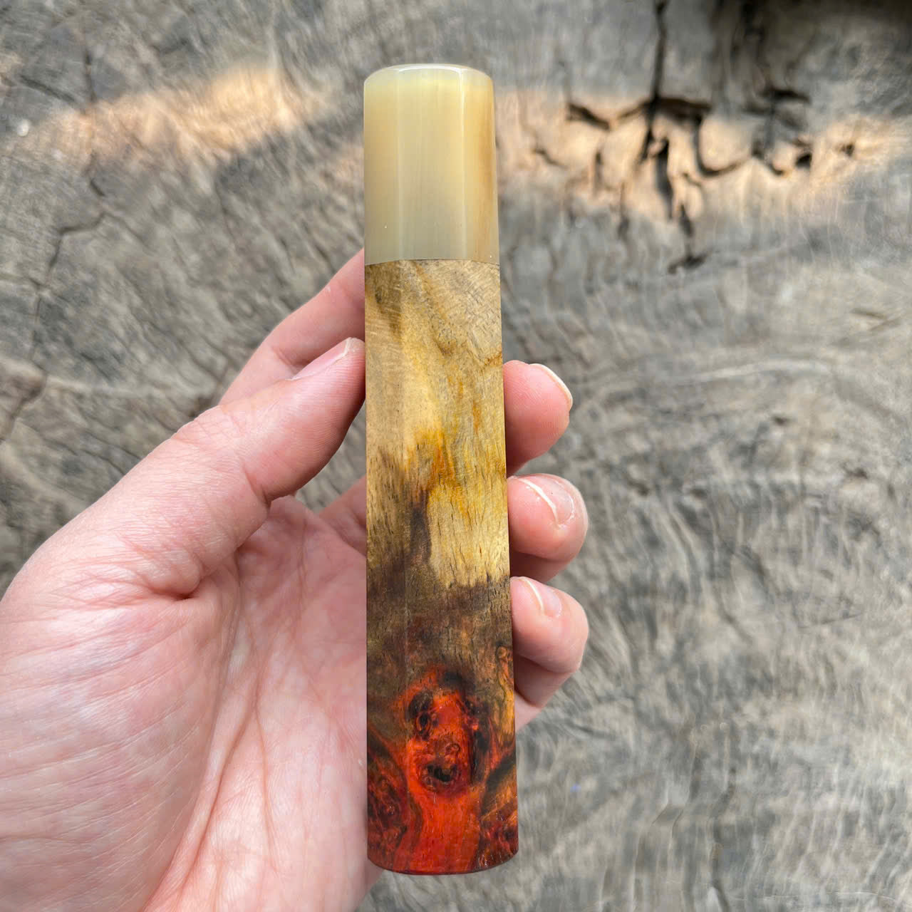 I- Two tone Curly burl Siamese Rosewood Wa handle, white horn ferrule - 135mm