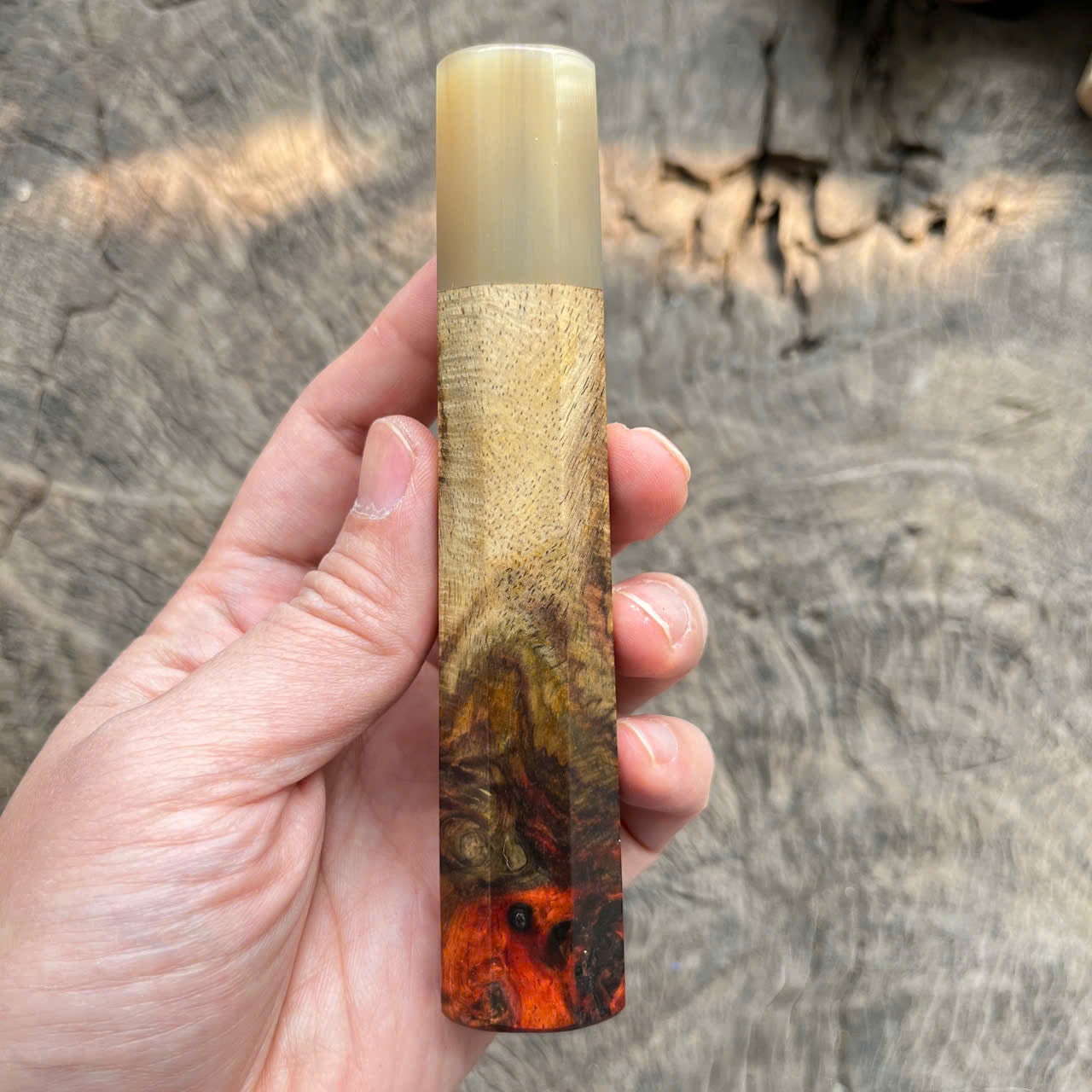 I- Two tone Curly burl Siamese Rosewood Wa handle, white horn ferrule - 135mm