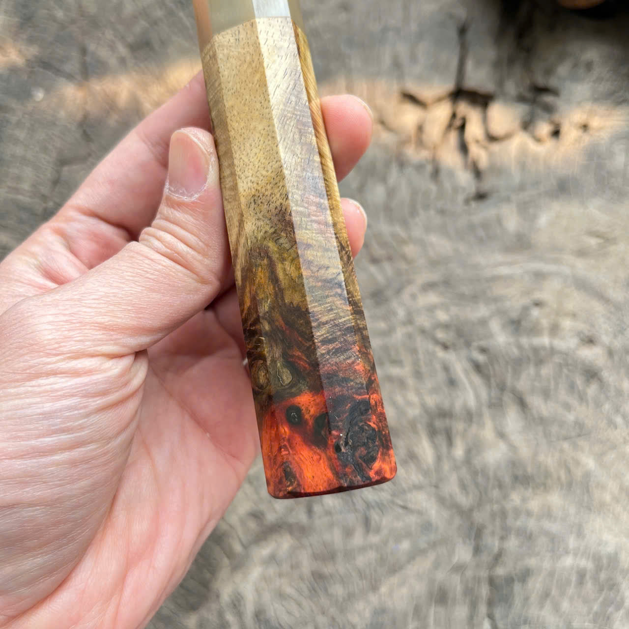 I- Two tone Curly burl Siamese Rosewood Wa handle, white horn ferrule - 135mm