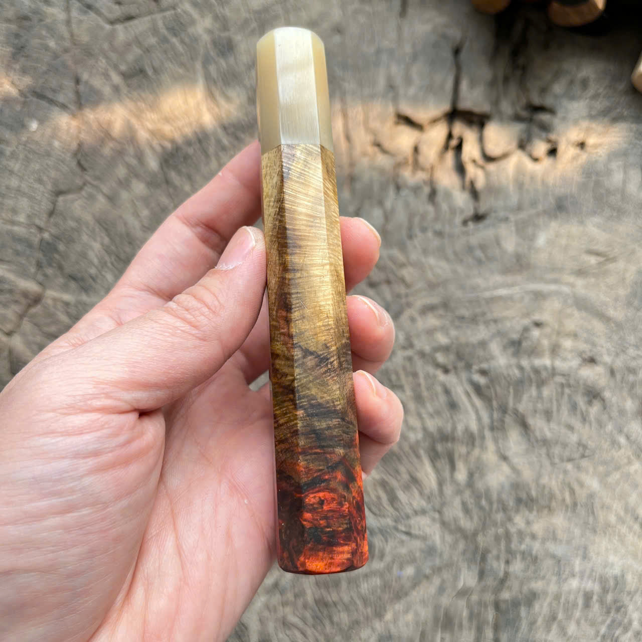 I- Two tone Curly burl Siamese Rosewood Wa handle, white horn ferrule - 135mm