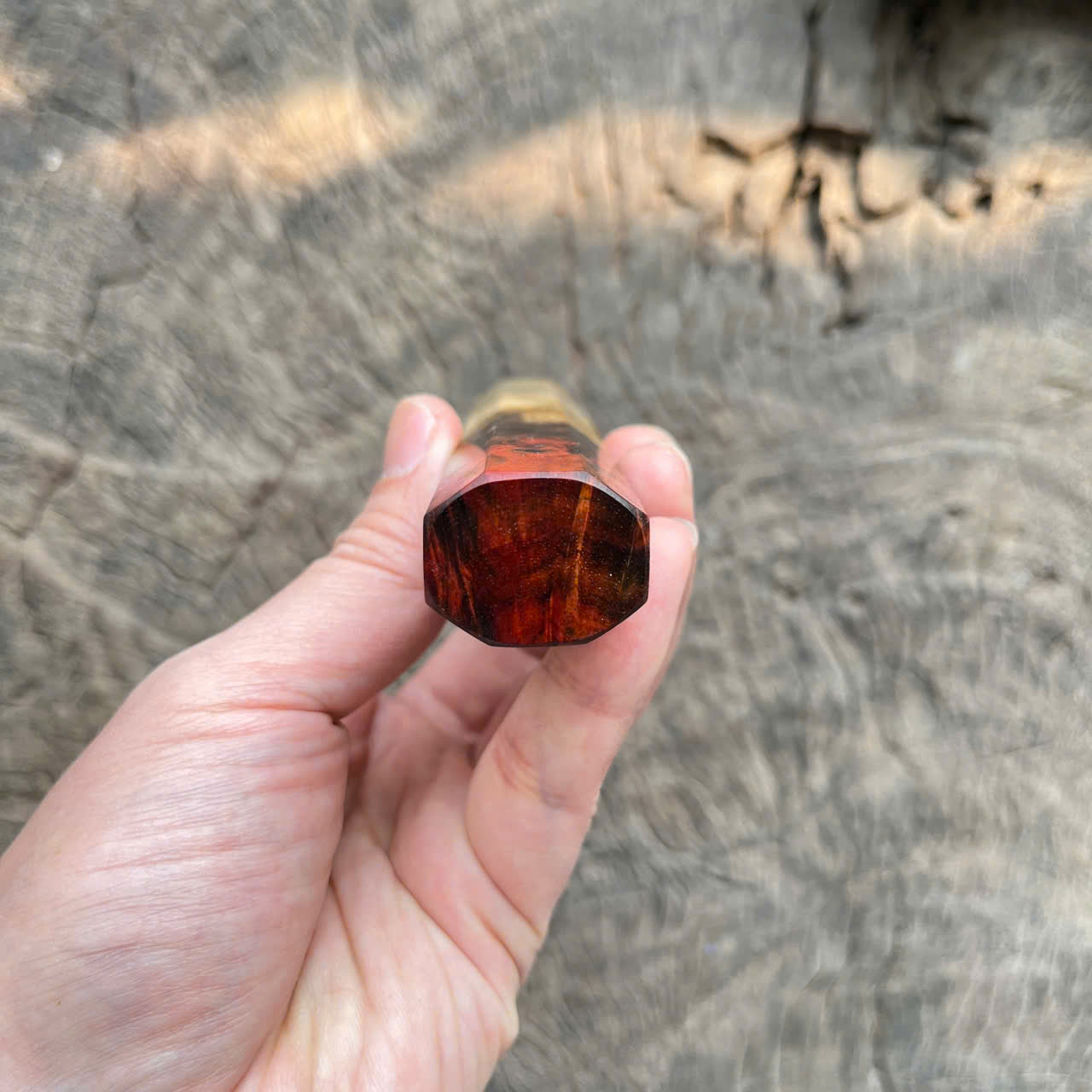 I- Two tone Curly burl Siamese Rosewood Wa handle, white horn ferrule - 135mm