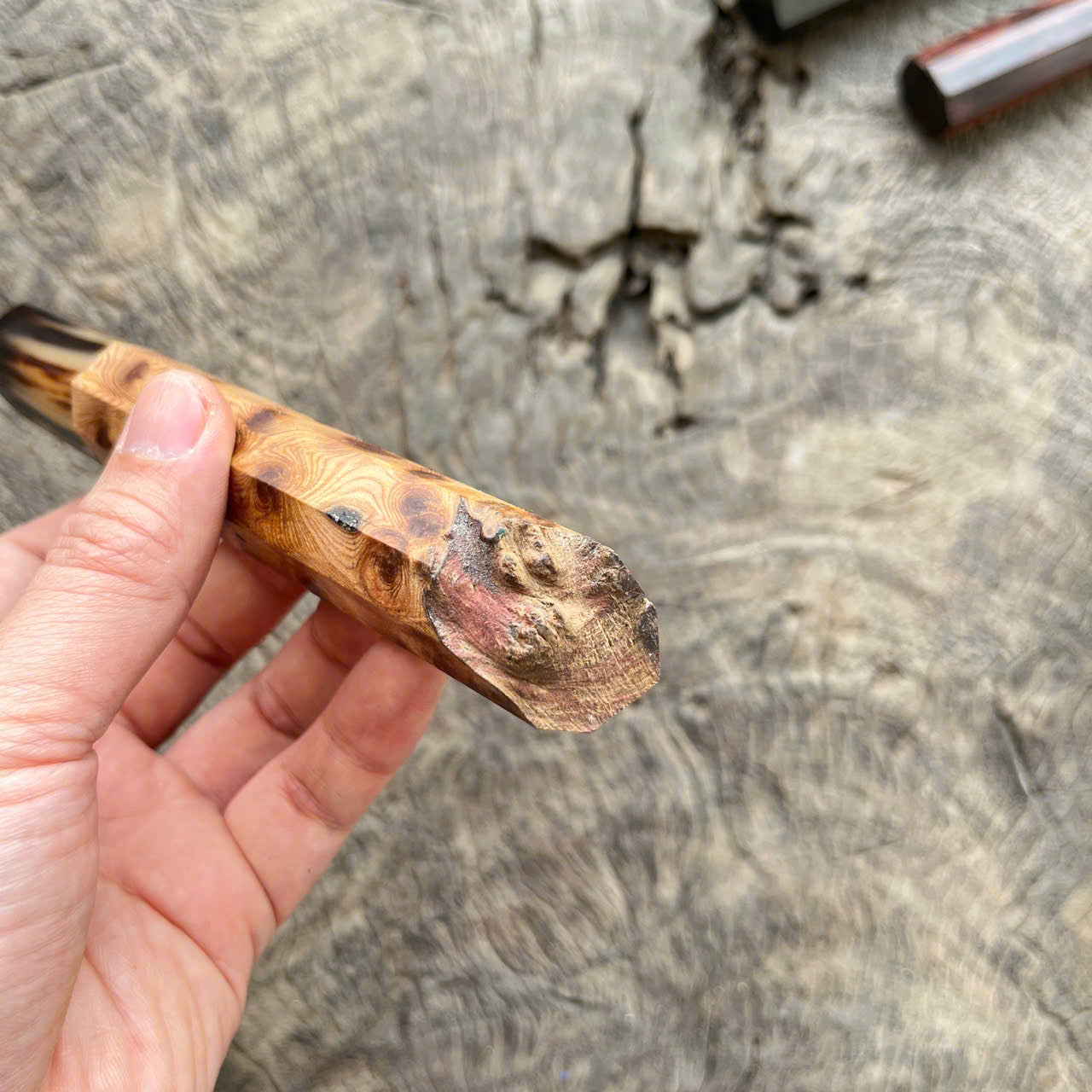 I - Live Edge Viet Cedar Burl wood Wa handle, marble horn ferrule- 145mm