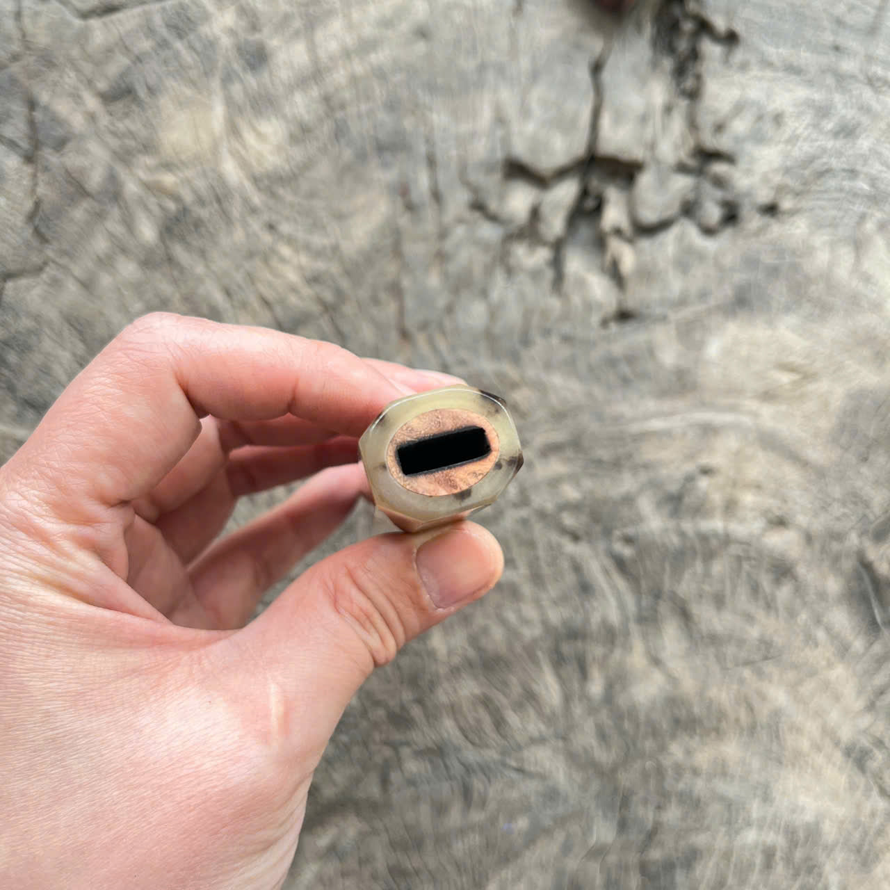 I- 3 Viet Ironwood burl Wa handle, marble horn ferrule- 135mm
