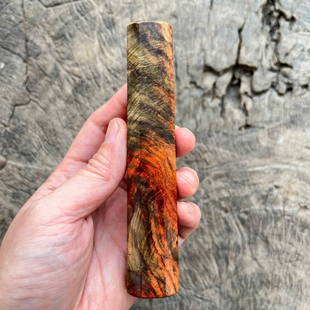 I -Rare Curly Colored Siamese Rosewood Wa handle, Mono- 140mm