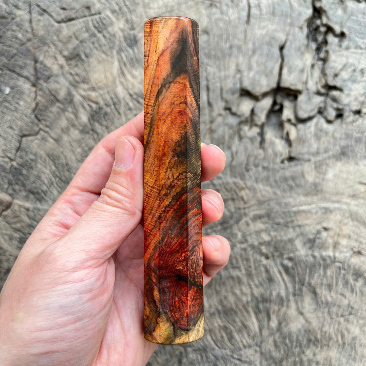 I -Rare Curly Colored Siamese Rosewood Wa handle, Mono- 140mm