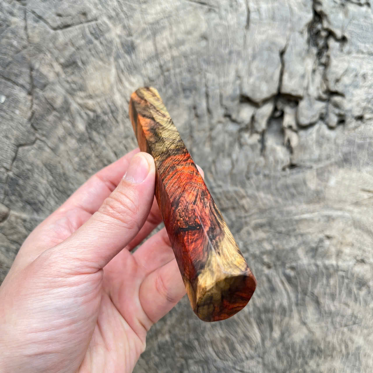 I -Rare Curly Colored Siamese Rosewood Wa handle, Mono- 140mm