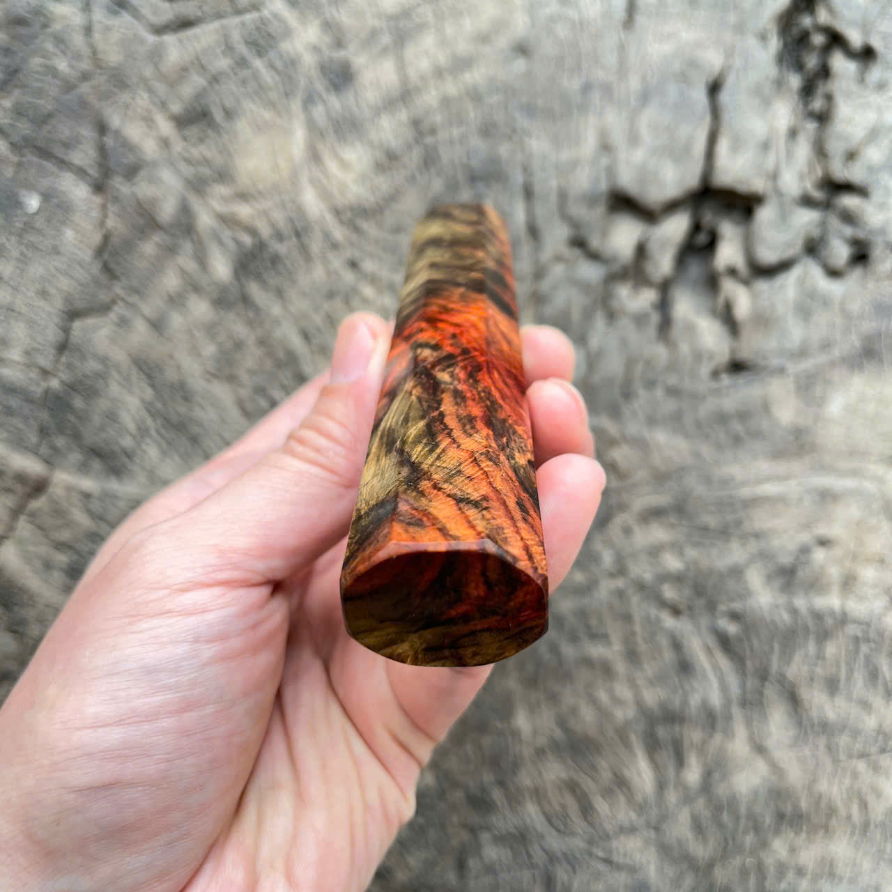 I -Rare Curly Colored Siamese Rosewood Wa handle, Mono- 140mm