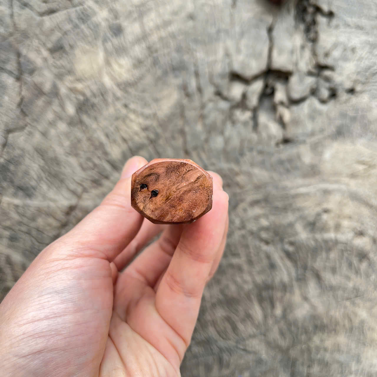 I- 3 Viet Ironwood burl Wa handle, marble horn ferrule- 135mm