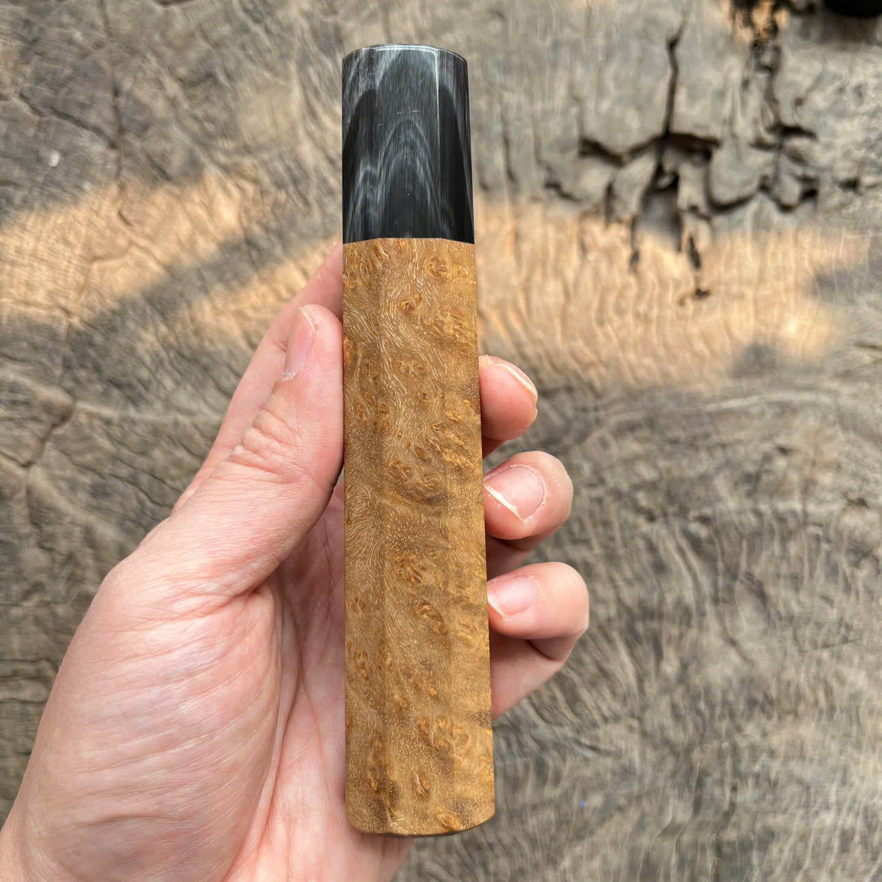 I -2 Burl Wa handle, white black horn ferrule, 145mm