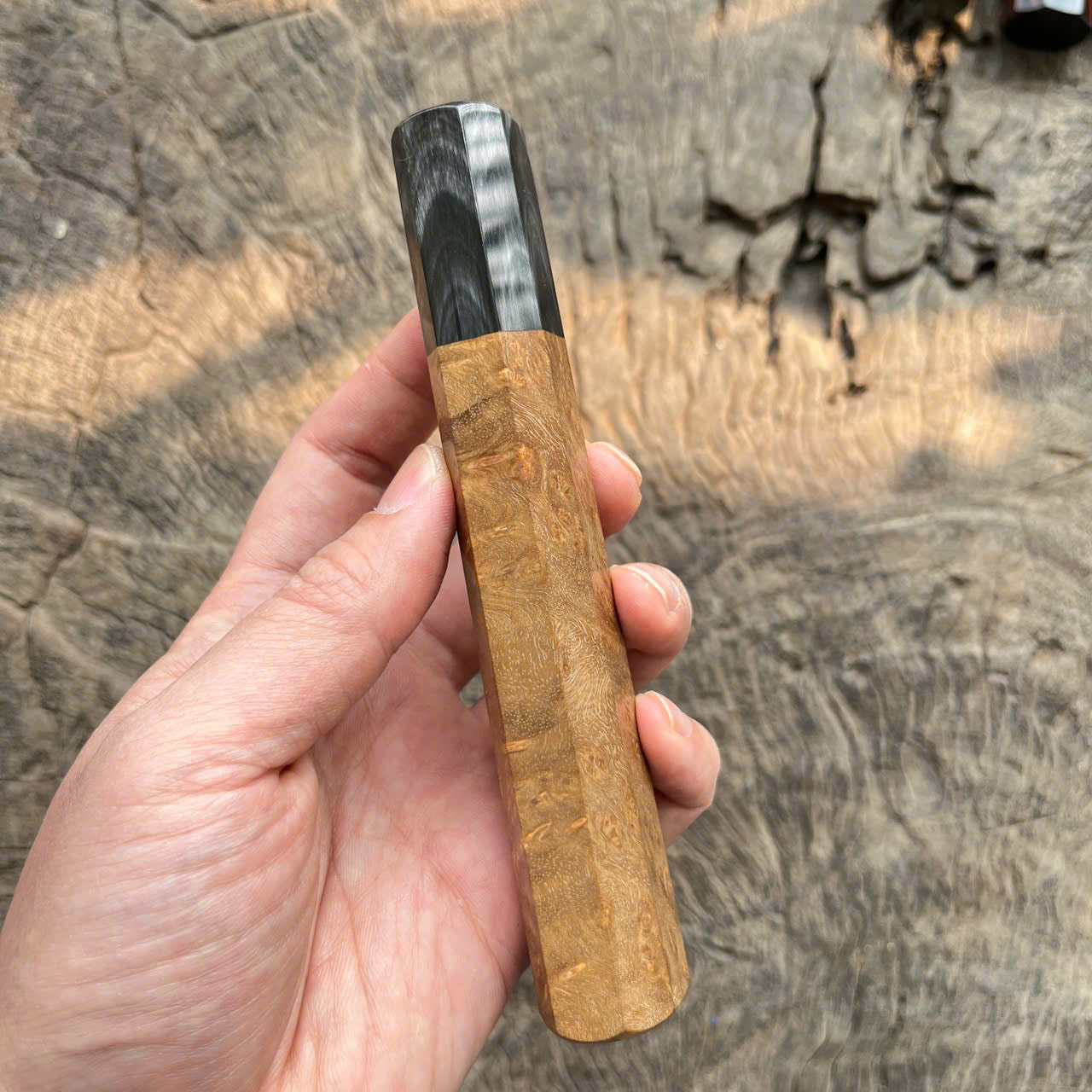 I -2 Burl Wa handle, white black horn ferrule, 145mm
