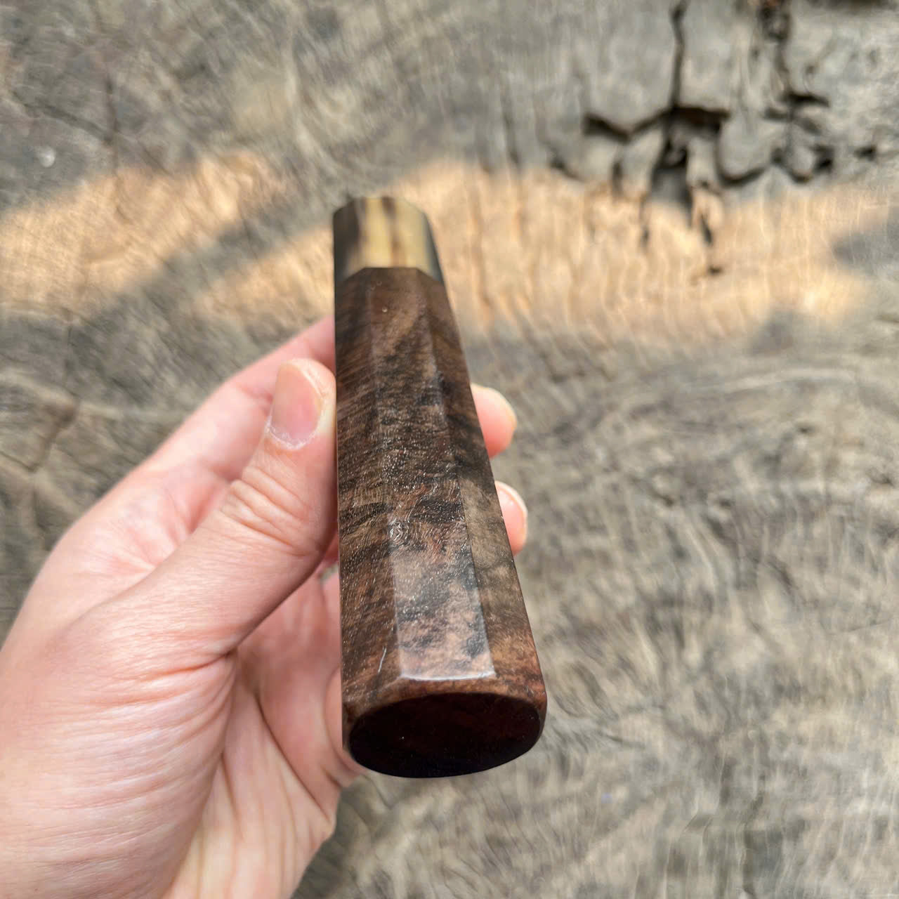 I -5 Dark Curly Siamese Rosewood Wa handle, Marble horn ferrule,- 145mm