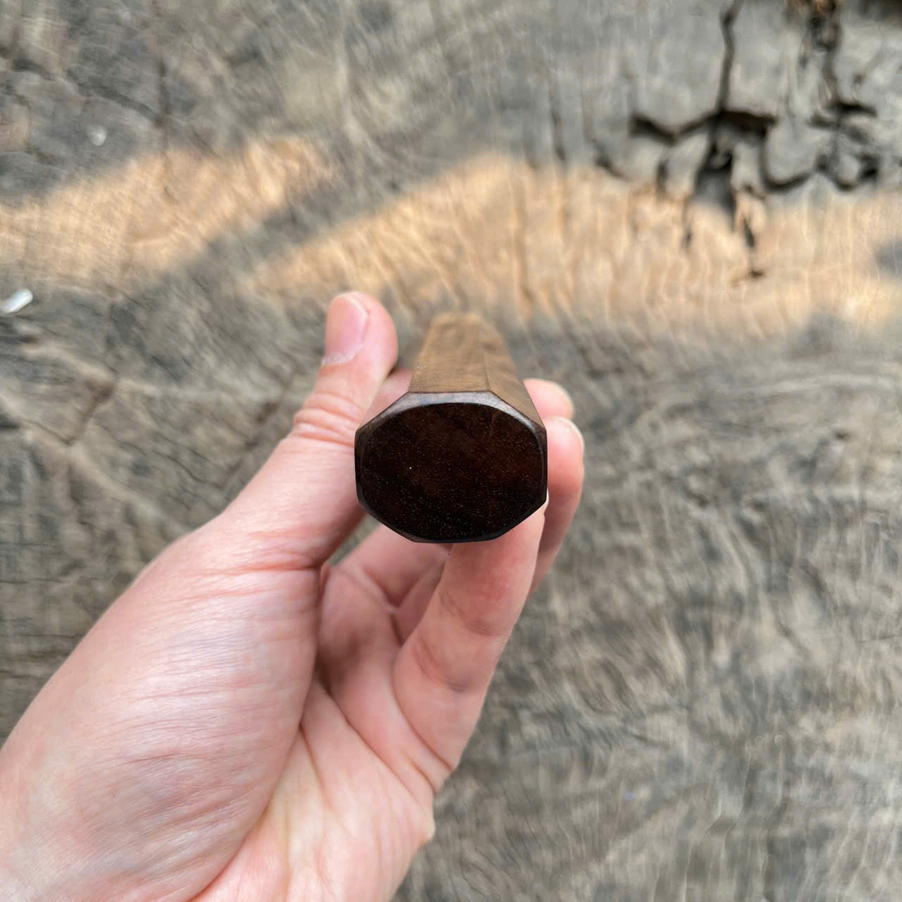 I -5 Dark Curly Siamese Rosewood Wa handle, Marble horn ferrule,- 145mm
