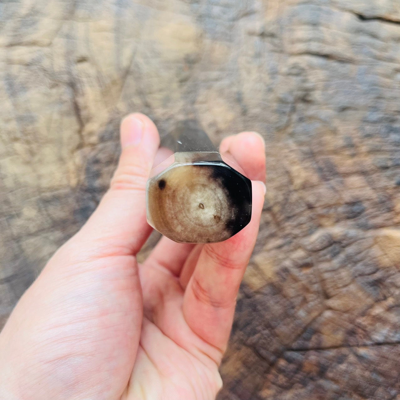 I- 3 Ebony Wa handle with marble horn ferrule end cap and nickel ring - 140mm