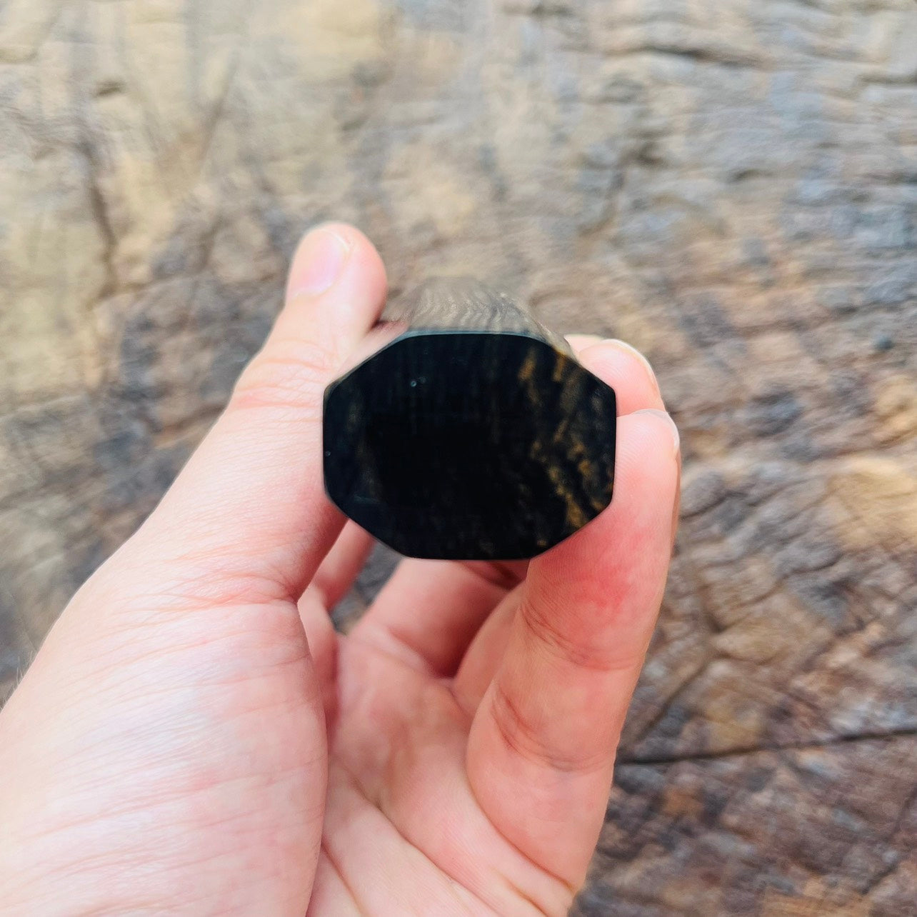 I- Black and white ebony with marble horn ferrule and nickel ring - 140mm