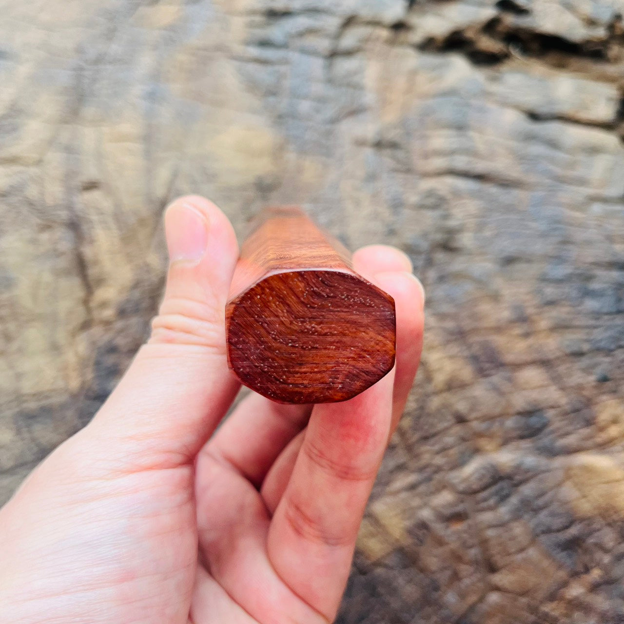 I- 5 Burl Amboyna Wa handle with marble horn, nickel ring - 140mm