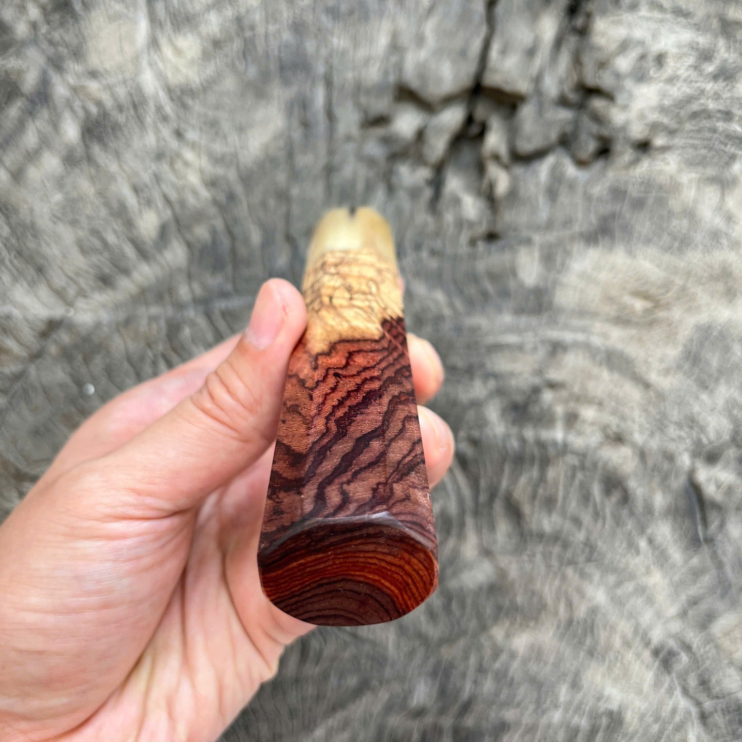 I - Rare Two Tone Curly Rosewood Wa handle, Marble horn Ferrule, 145 mm