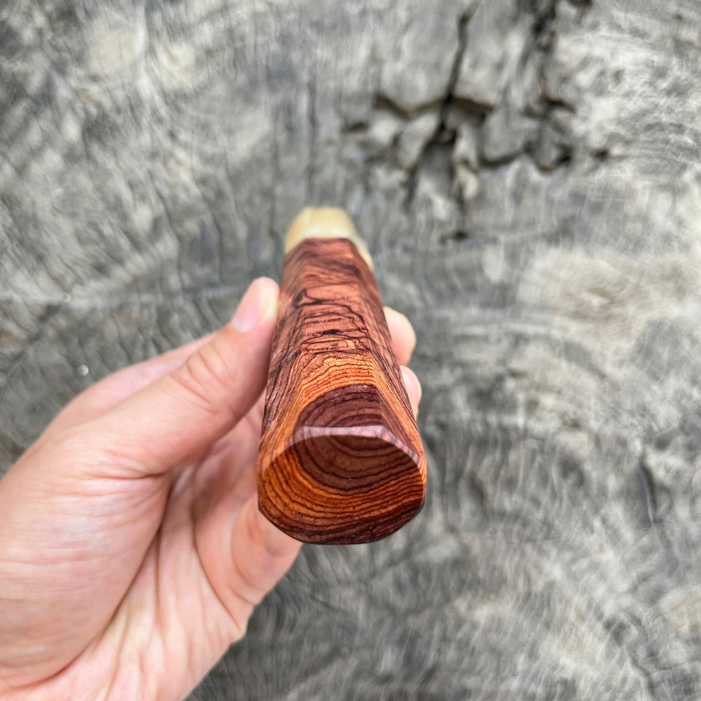 I - Rare Two Tone Curly Rosewood Wa handle, Marble horn Ferrule, 145 mm