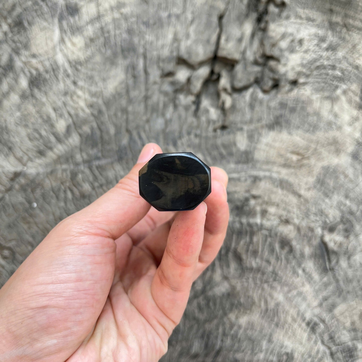 I- 11 Two Tone Ebony Wa handle, Mono - 135mm