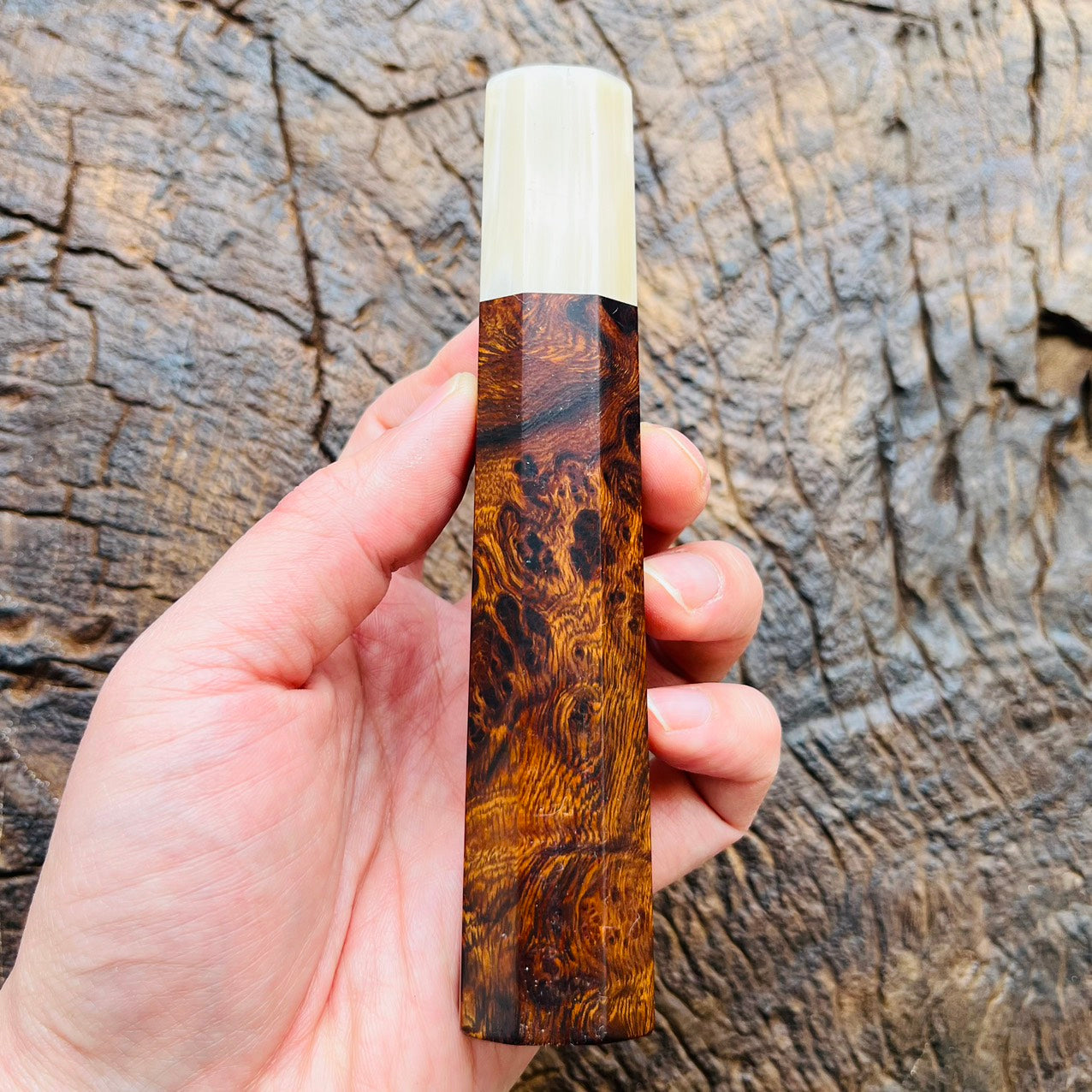 I- Stabilized burl wood Wa handle with cream horn ferrule - 140mm