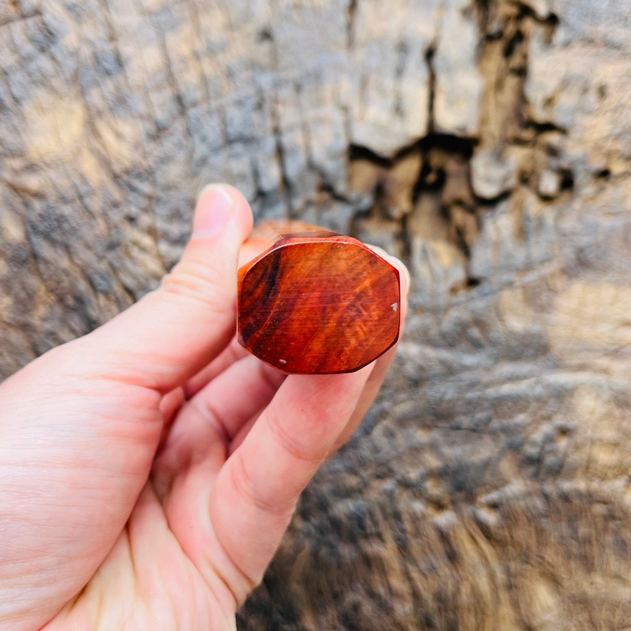 I- Mono Curly Orange Rosewood Wa handle - 135mm