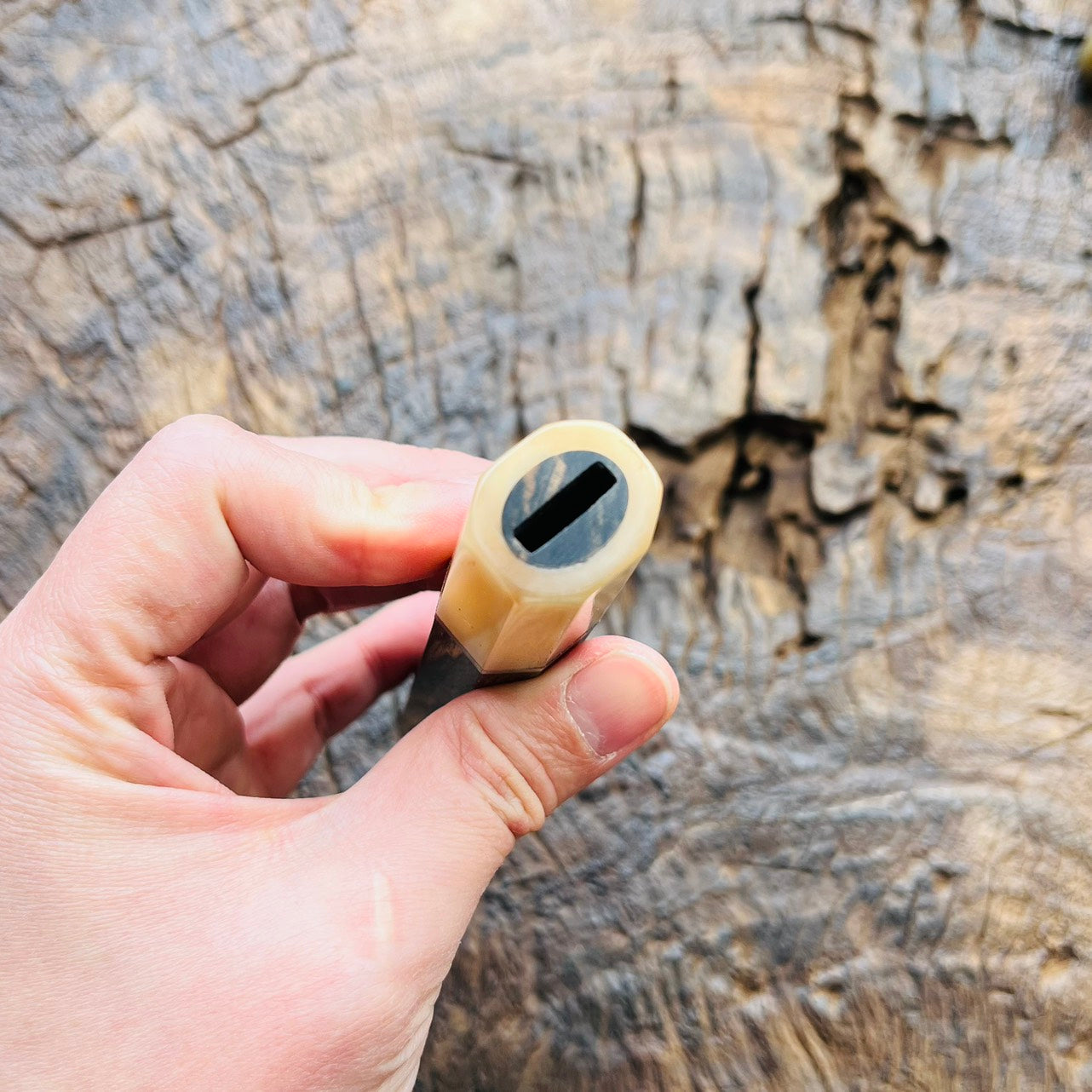I- Black and White Ebony Wa handle with marble horn ferrule and nickel spacer - 140mm