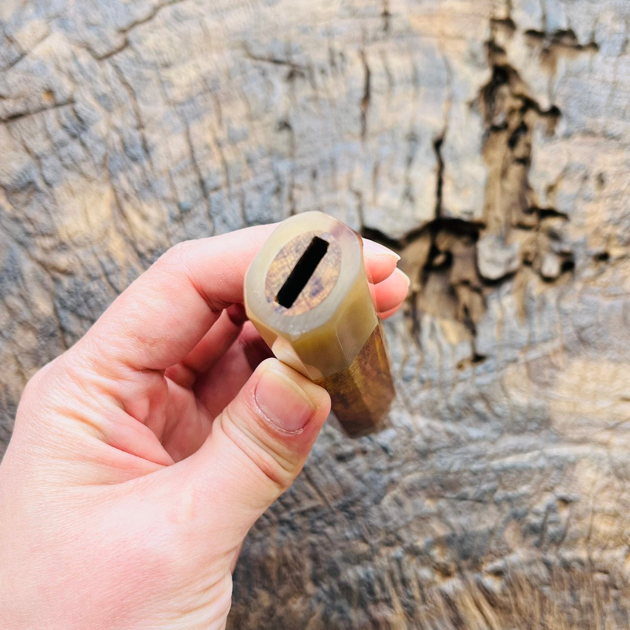 I- Huanghuali wood Wa handle with white horn ferrule end cap, 145mm