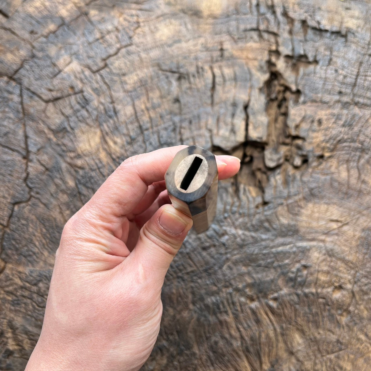 I- Burl Crape Myrtle Wa handle with marble horn ferrule end cap, 145mm