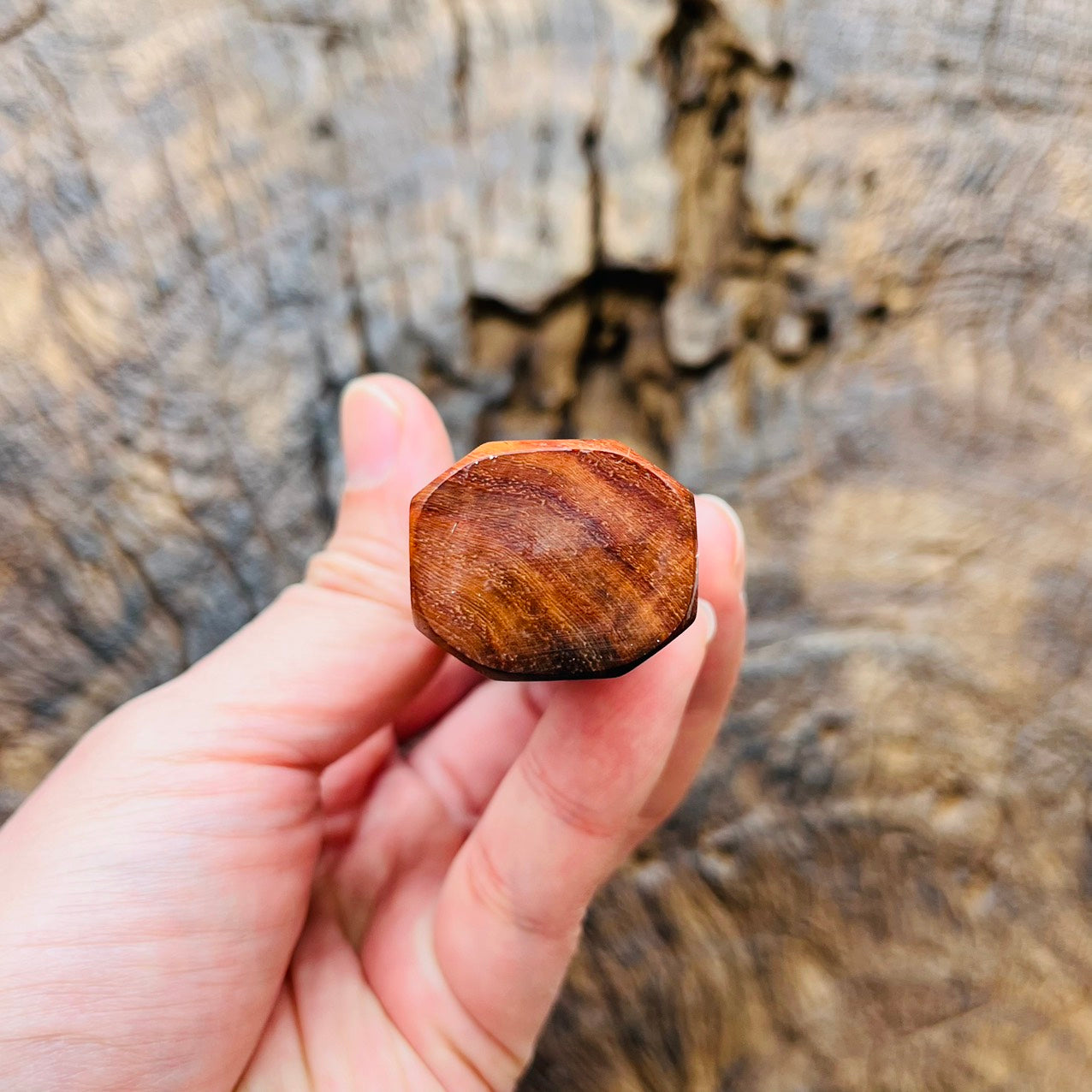 I- Mono Curly Rosewood Wa handle - 140mm