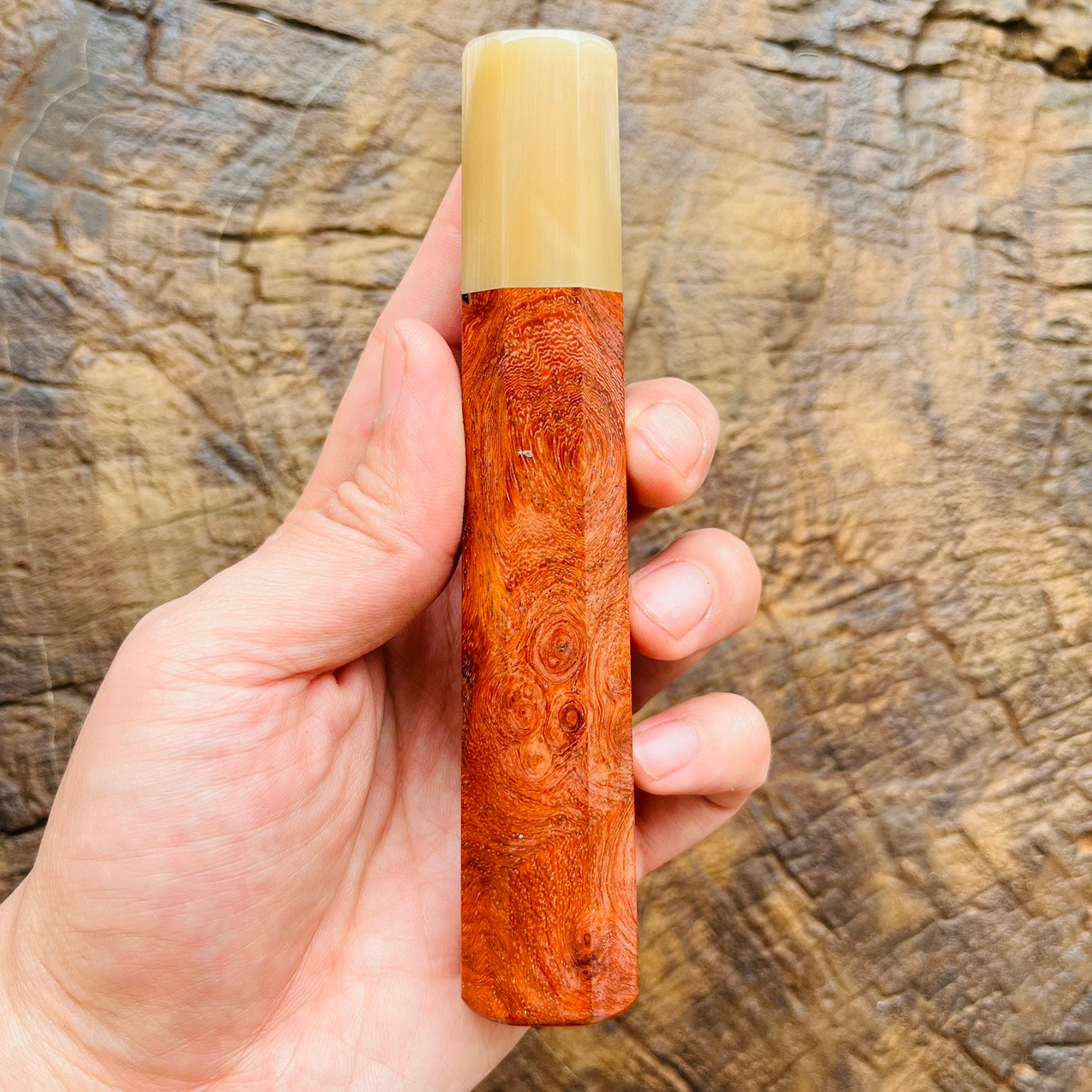 I- 2 Burl Amboyna handle with white horn ferrule - 140mm