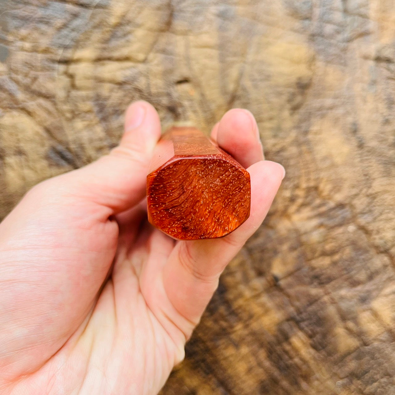 I- 2 Burl Amboyna handle with white horn ferrule - 140mm